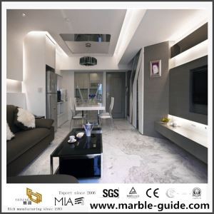 Multifamily Projekte Grey Space mit schneeweißen Marmorboden